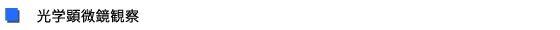 工学顕微鏡観察